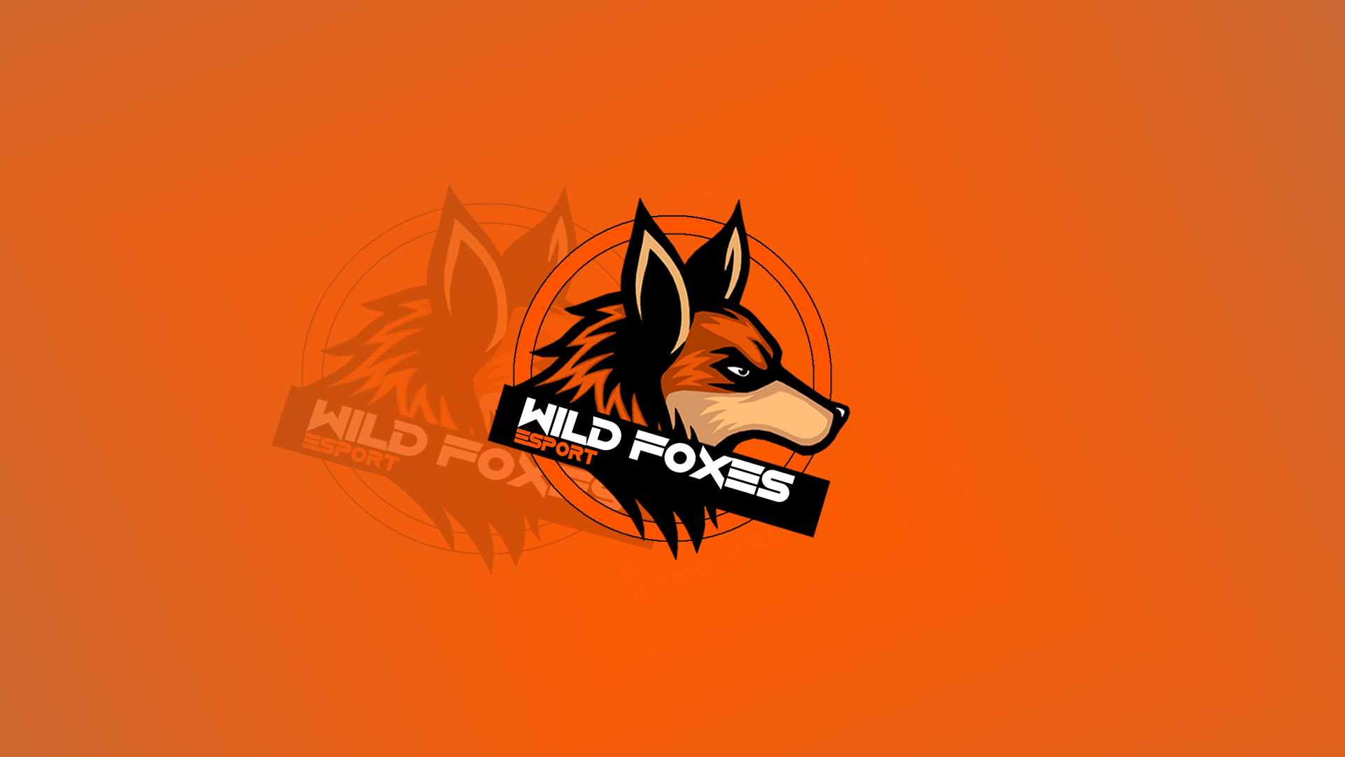 Wild Foxes Esport wallpaper